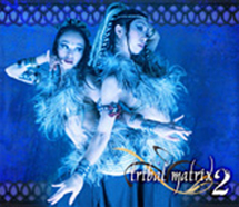 トライバル・マトリックス　２